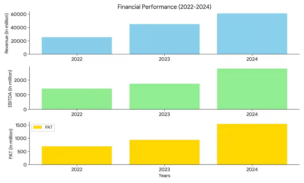 PNG Jewellers IPO Details in Marathi- financial performance
